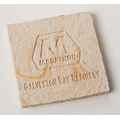 Limestone Textured Coaster